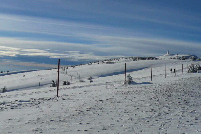 Sur les traces “Trail du Ventoux” avec Nicolas Martin