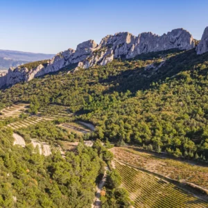 Tour des dentelles de Montmirail - Trail