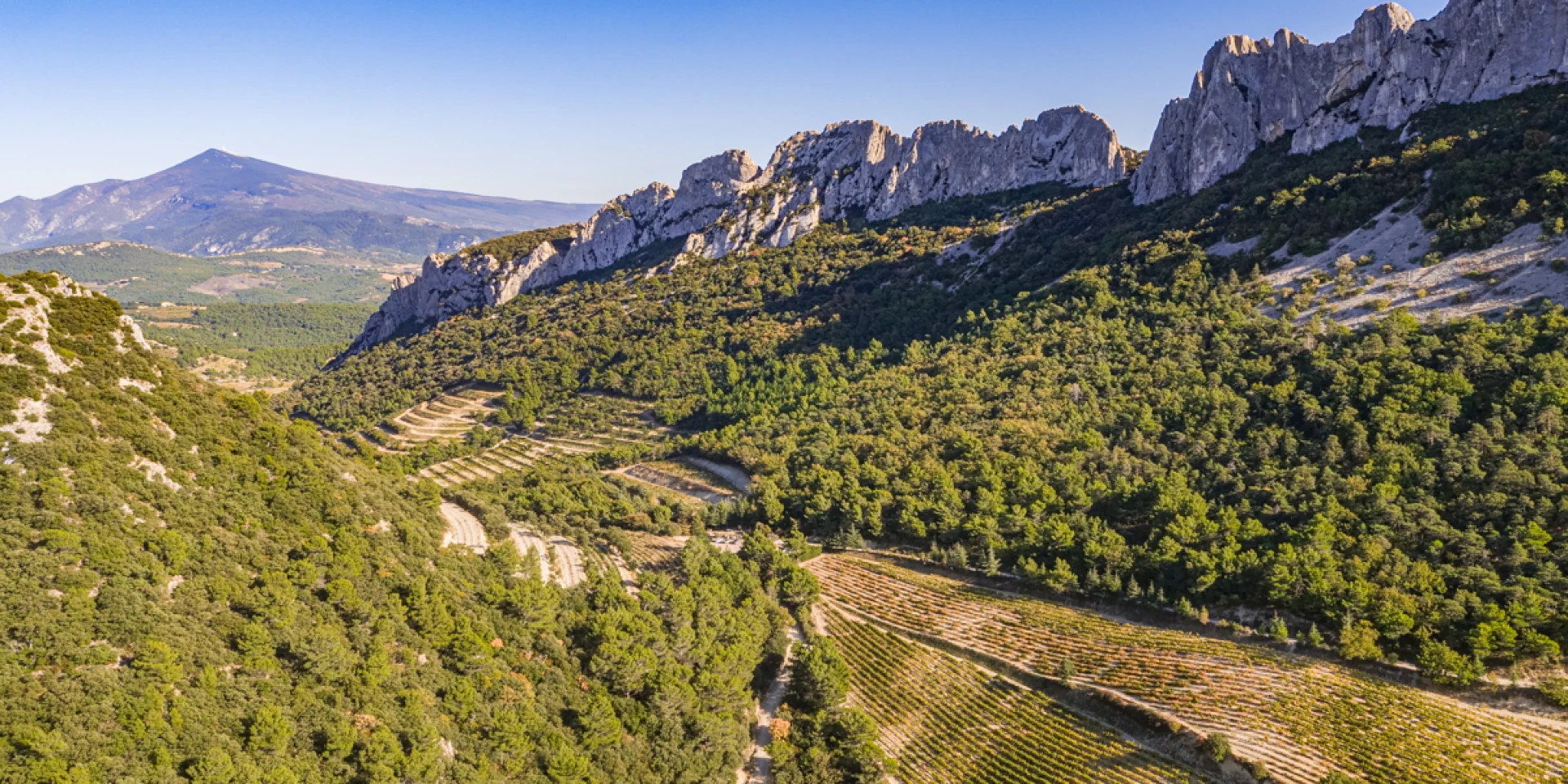 Tour des dentelles de Montmirail - Trail