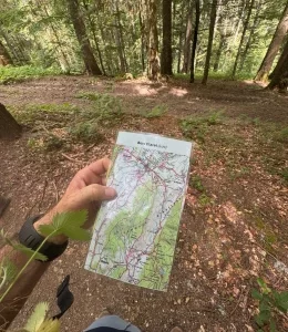 Stage Initiation Carto & Orientation